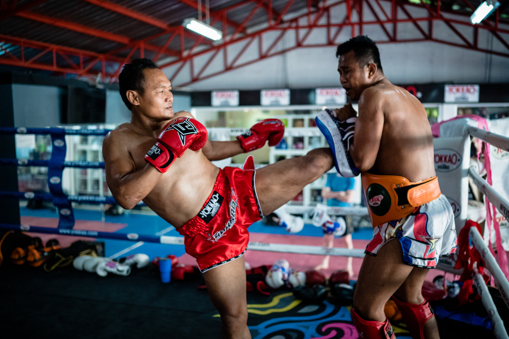 Short de muay thai, kick boxing et boxe thai