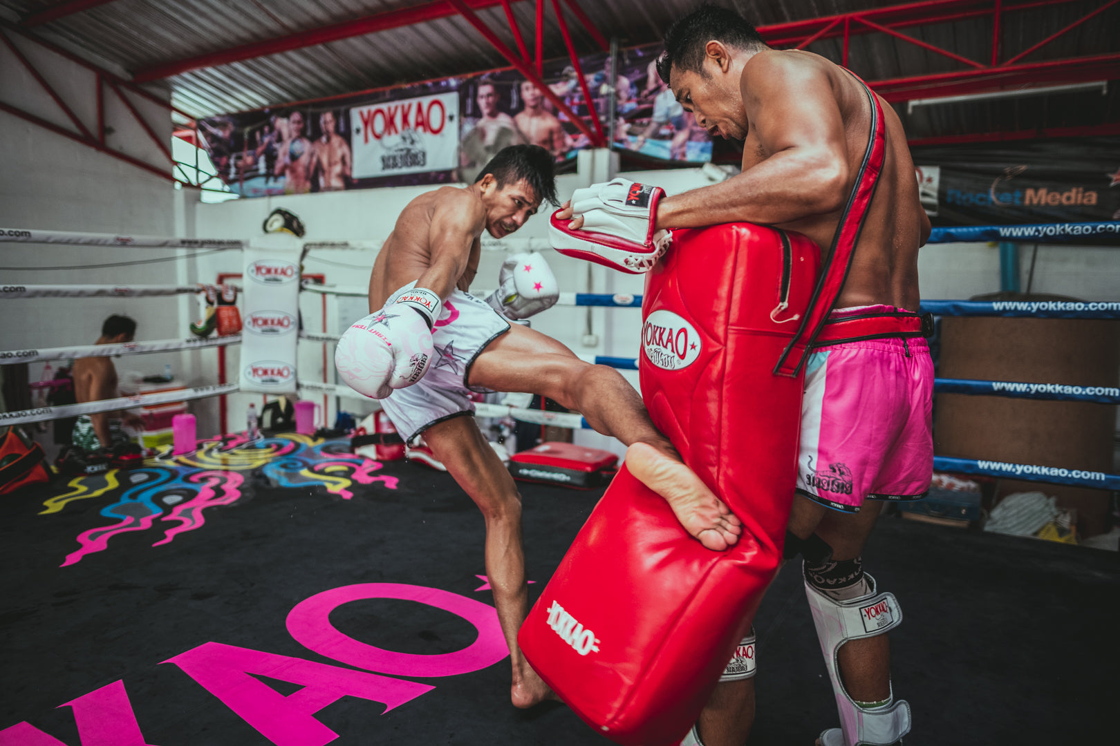 Tibiales Dragons Pro Special Muay Thai Mma Kick Boxing