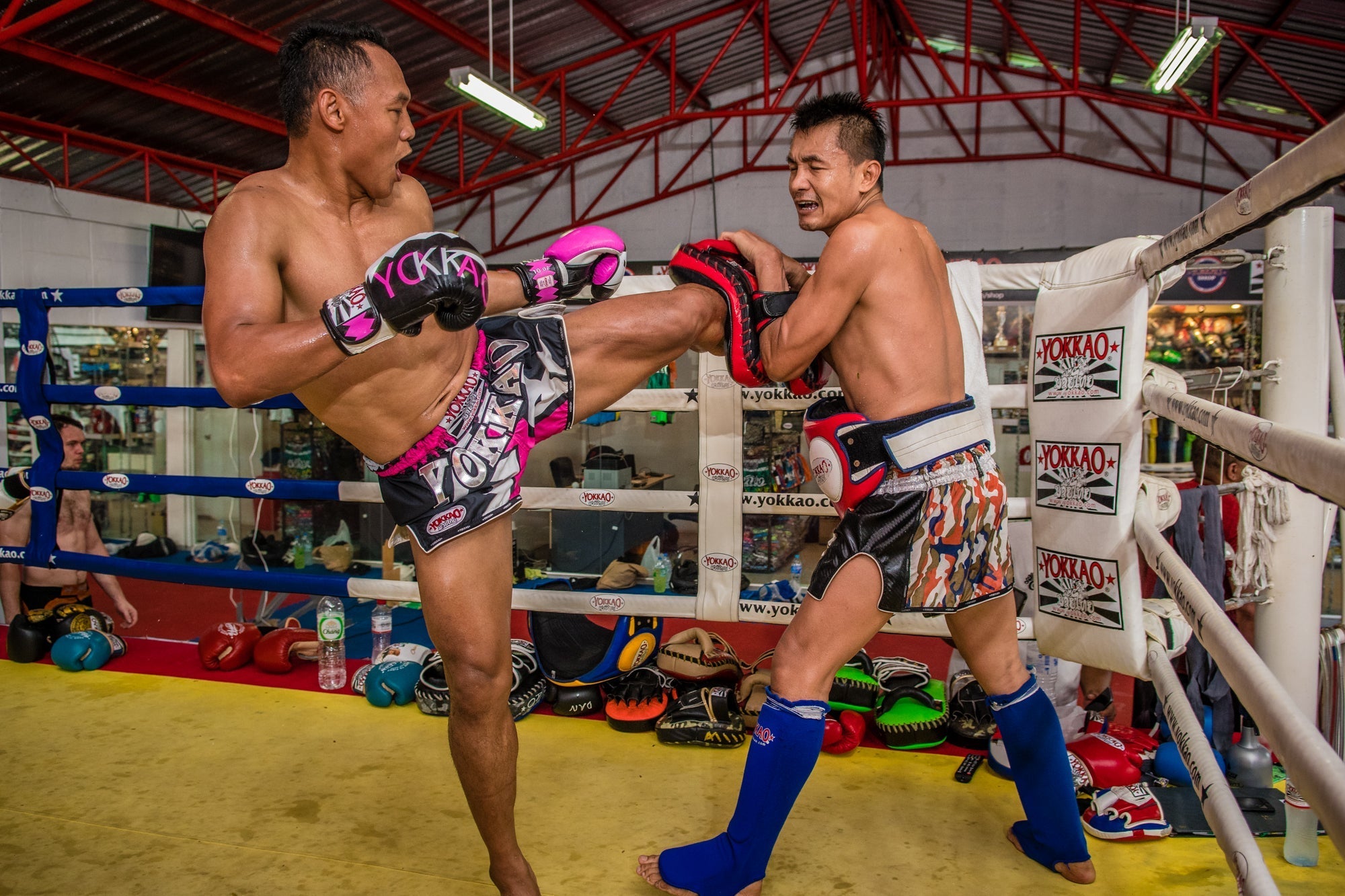 YOKKAO Seminar with Saenchai Confirmed for Canada in April!-YOKKAO