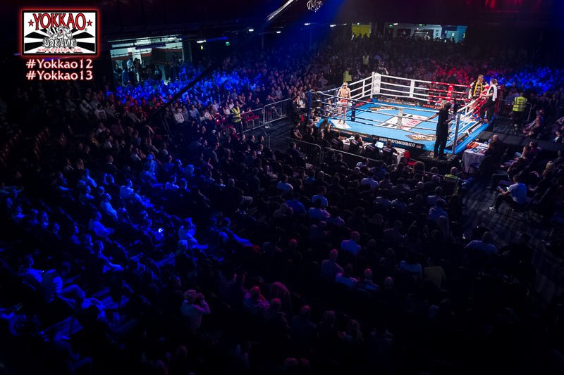 YOKKAO Triples up in UK: London the coming Target!