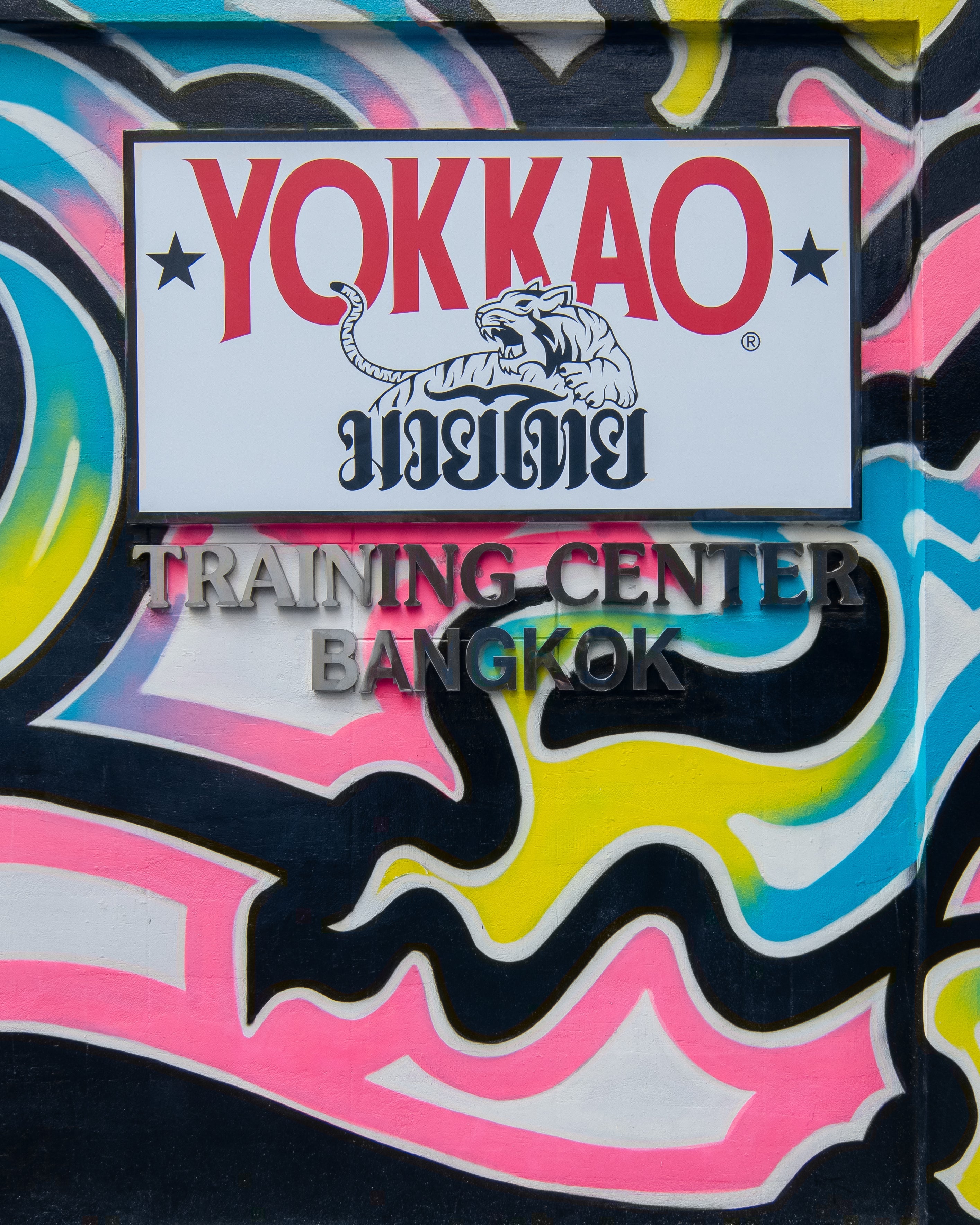 YOKKAO Gym Training Fighter Image