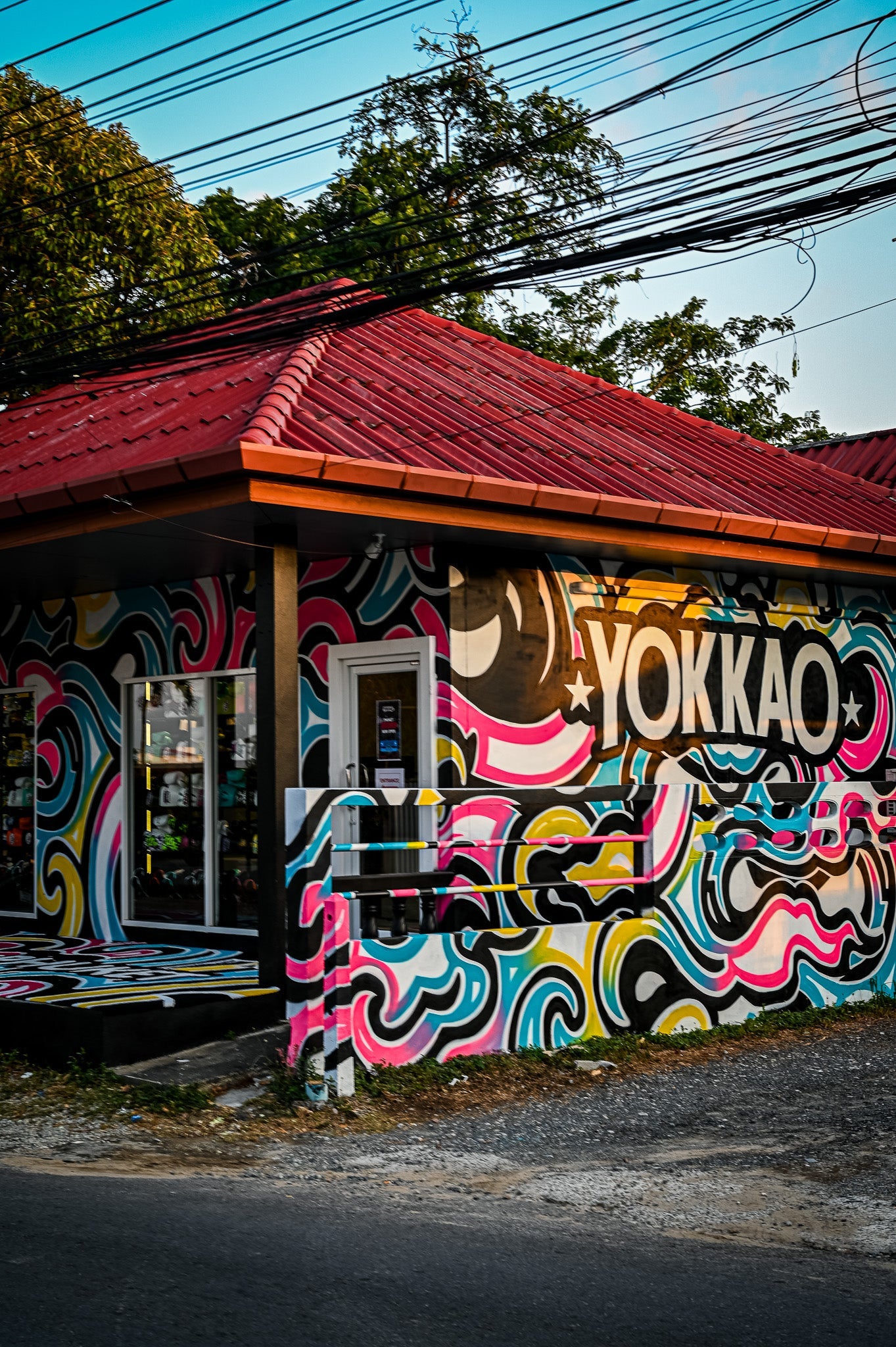 Fighter executing a fierce kick