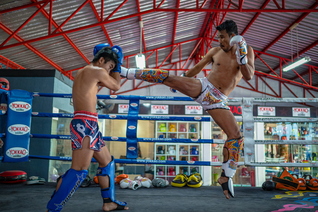 5 Reasons Why Muay Thai Is An Excellent Base For MMA - Evolve University  Blog