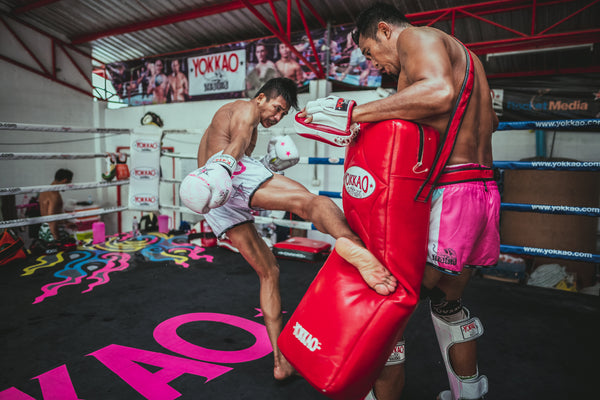 All About Muay Thai Low Kicks