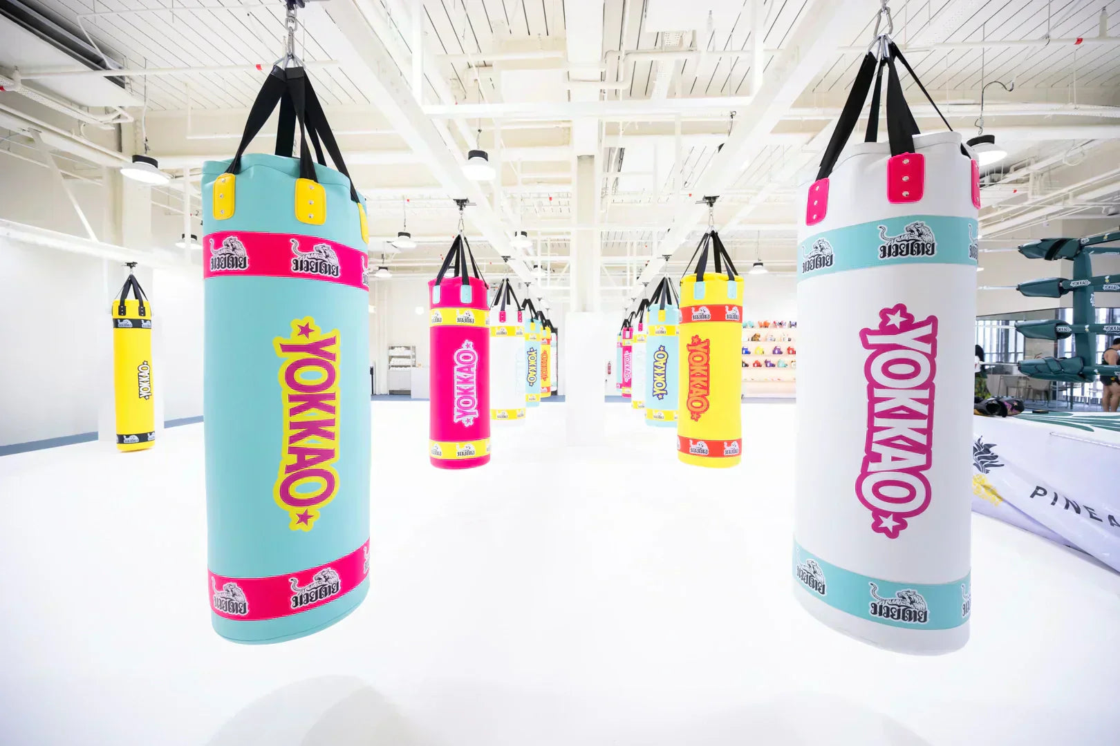 YOKKAO | Pineapple MMA: Setting the New Global Standard for Muay Thai Gyms