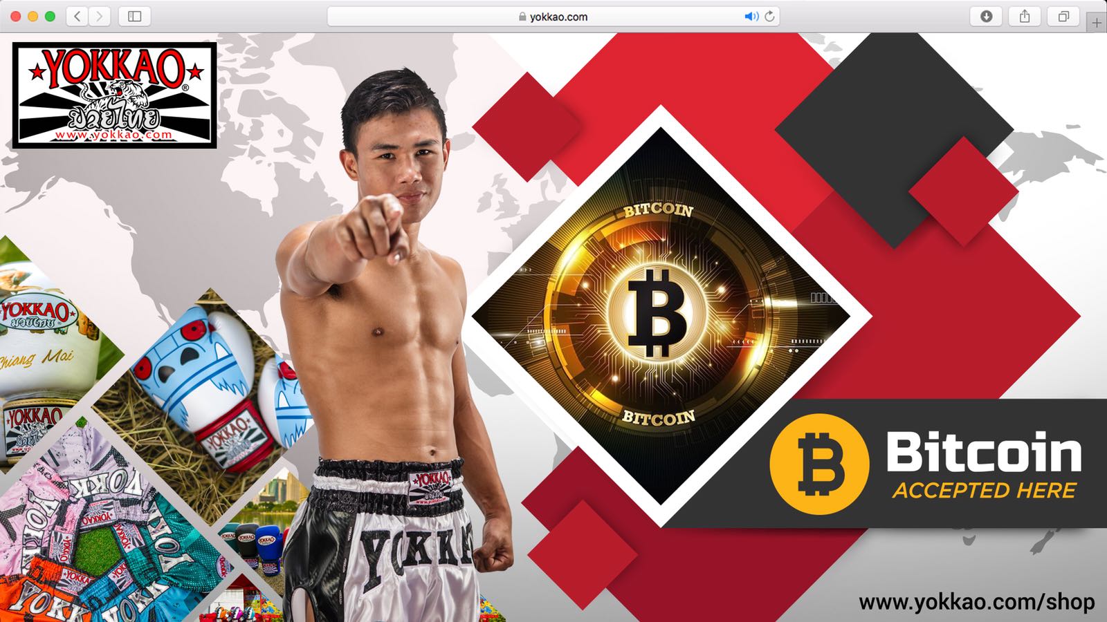 YOKKAO Now Accepts Bitcoin Payment!-YOKKAO