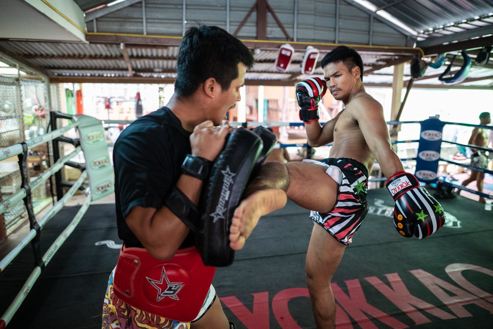 YOKKAO To Offer Sponsorship Package To Upcoming Fighters-YOKKAO