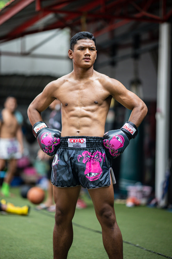 Acheter des protège-tibias pour kickboxing, Muay Thai & MMA