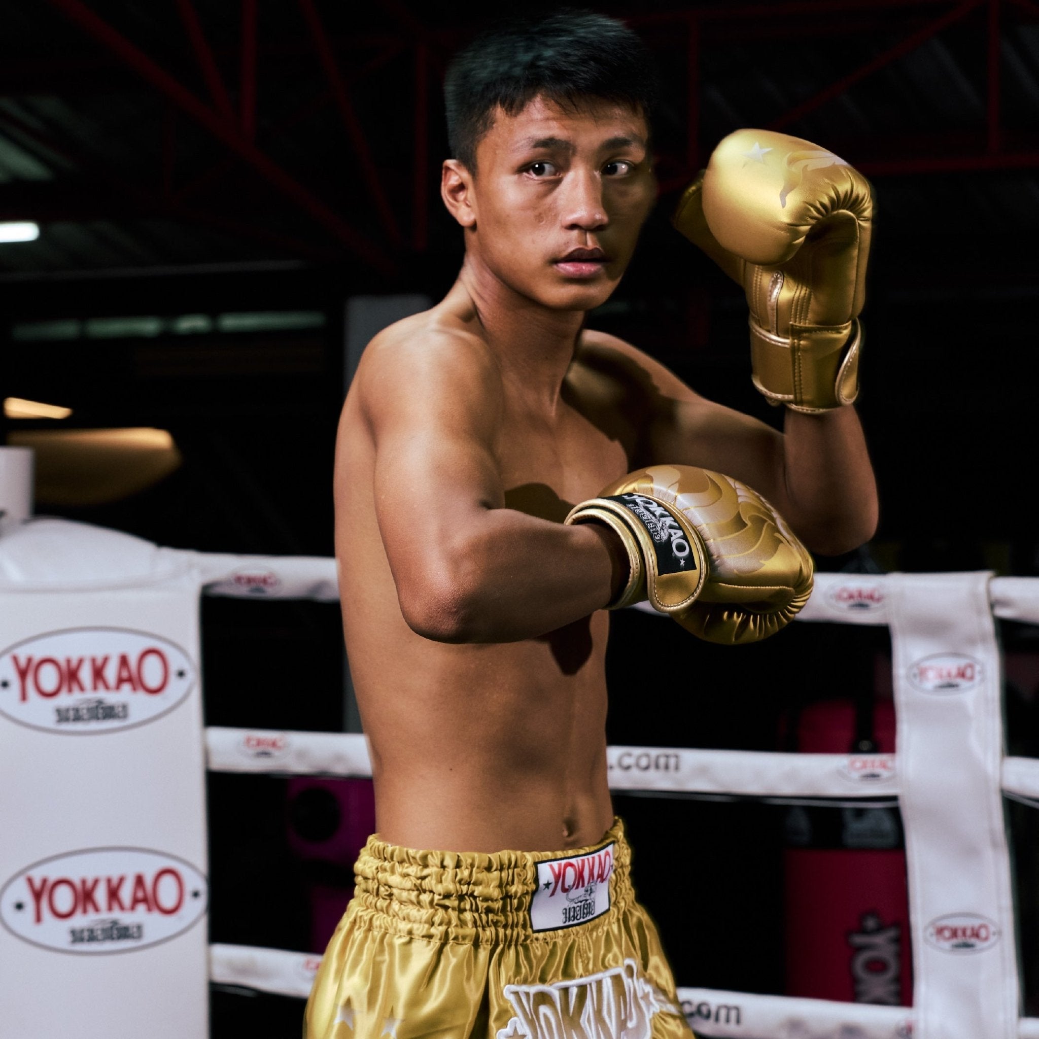 YOKKAO The Flame Boxing Gloves – Premium Muay Thai, MMA & Boxing