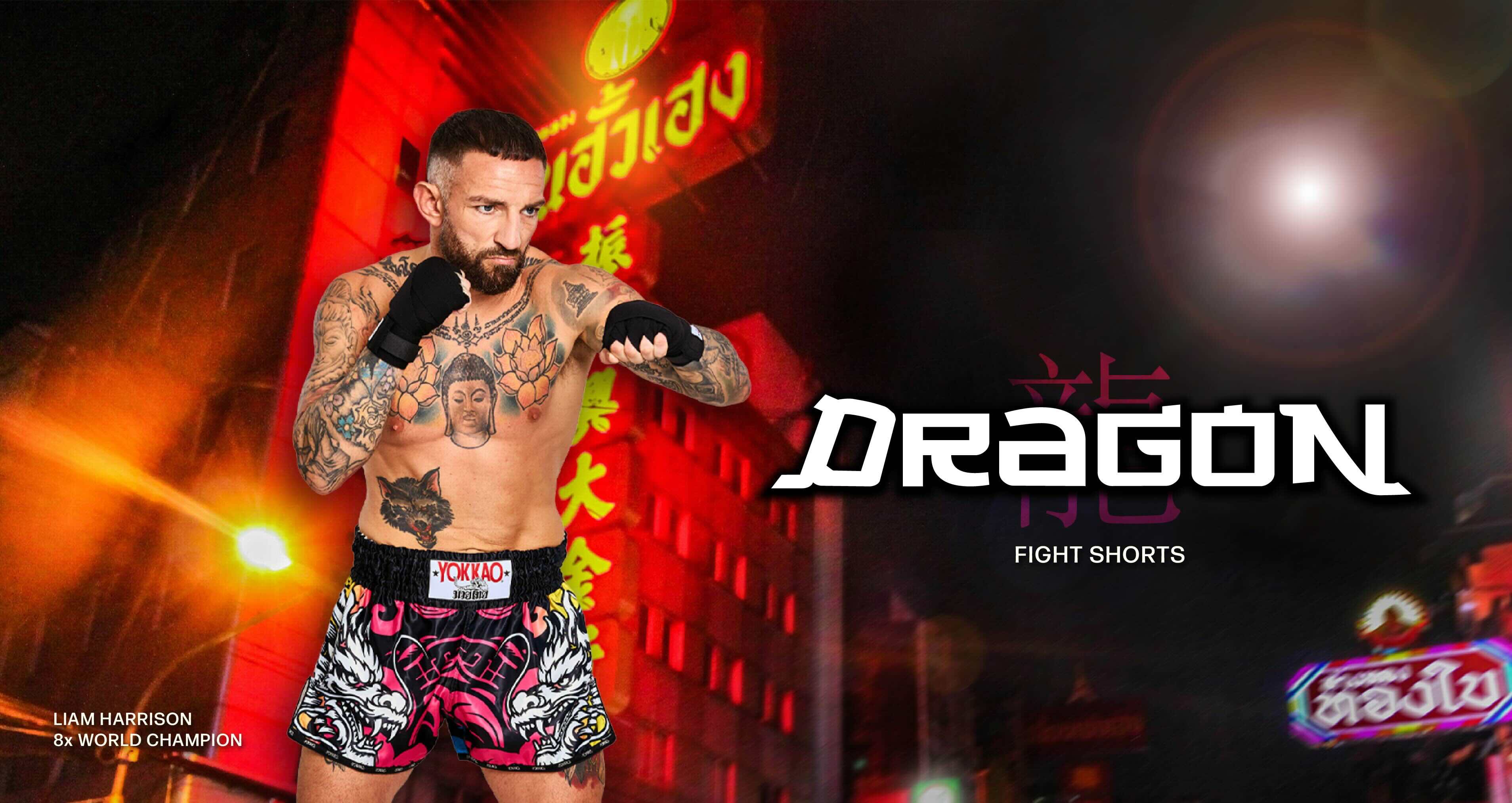 YOKKAO Dragon Web Banner